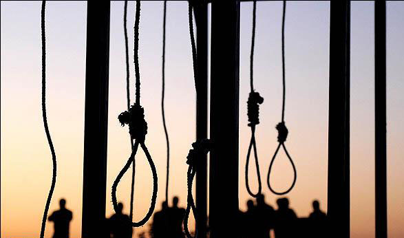 Week in Brief: Executions Unabated