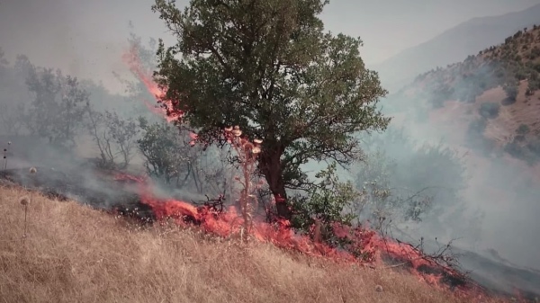 آتش‌سوزی گسترده در کوهستان «کوسالان» در نتیجه توپ‌باران سپاه پاسداران