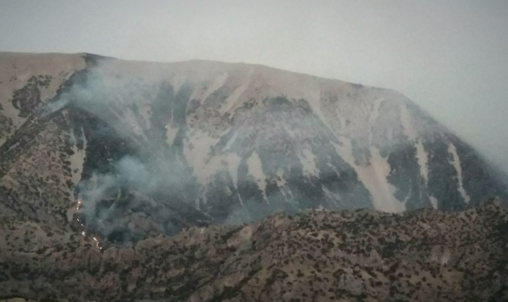 ثلاث باباجانی؛ ادامه آتش‌سوزی گسترده در ارتفاعات جنگلی «درنه» و «کوگاه»