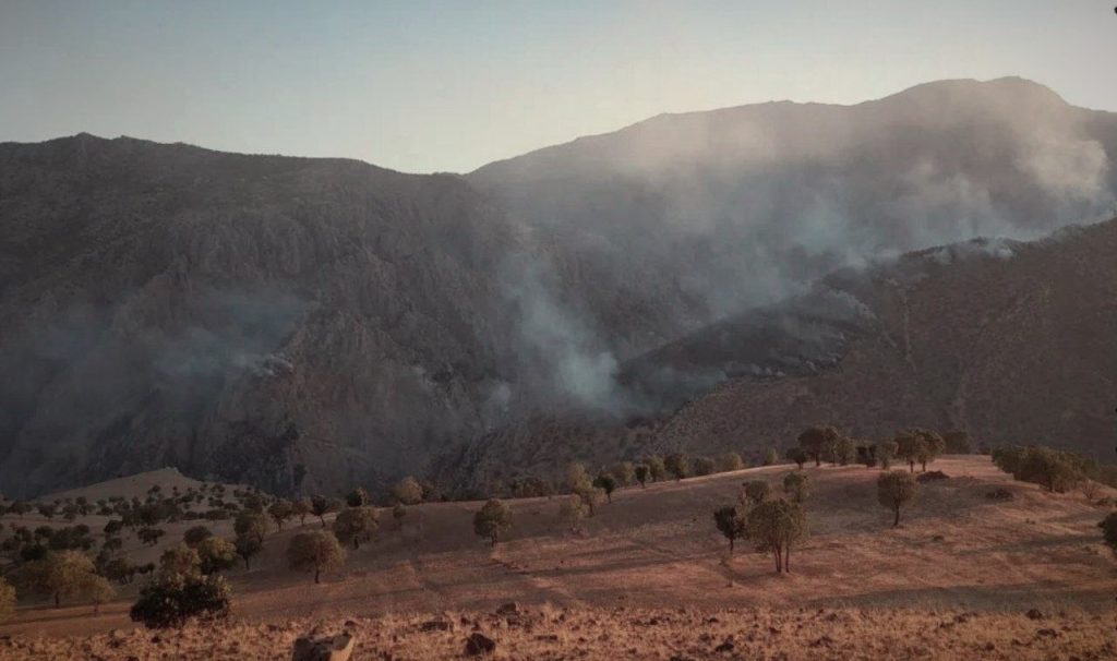 کامیاران؛ آتش‌سوزی گسترده در جنگل‌های شاهو در نتیجه توپ‌باران سپاه پاسداران