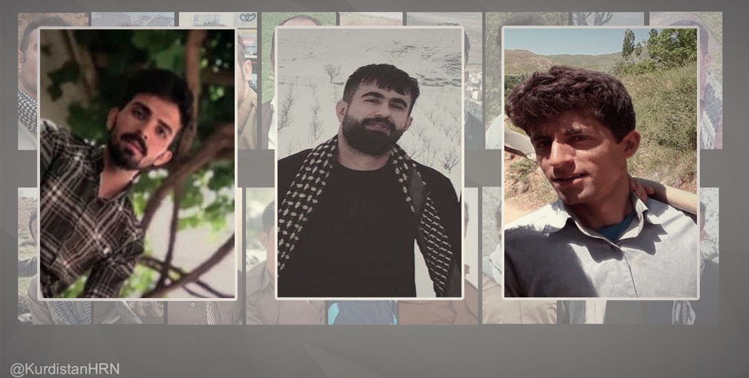 عکس از راست؛ سیامک منبری، زانکو مسعودی و سعدی منبری