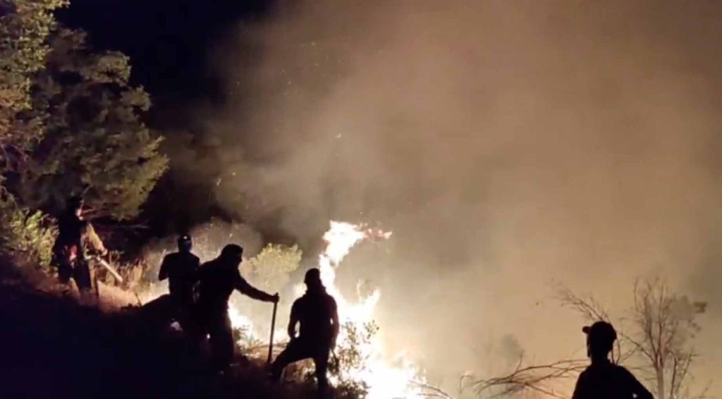 Kurdistan battling alarming forest fires, activists allege human involvement
